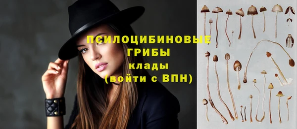 прущий лед Алзамай