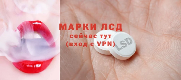 прущий лед Алзамай