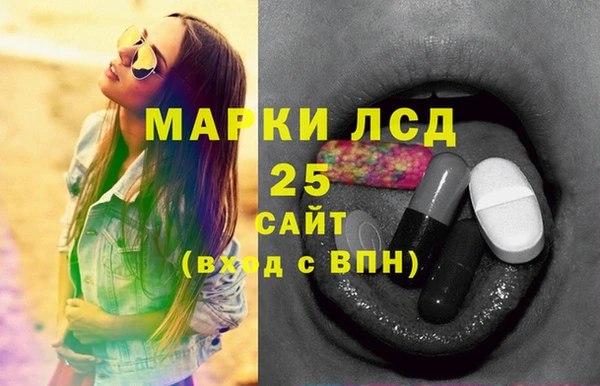прущий лед Алзамай