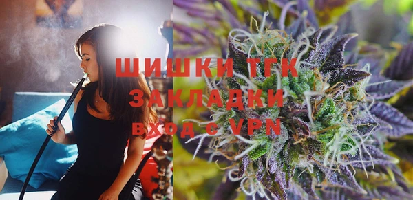 прущий лед Алзамай