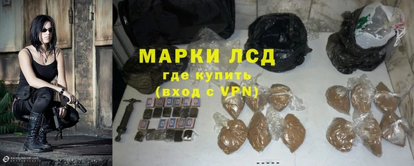 прущий лед Алзамай
